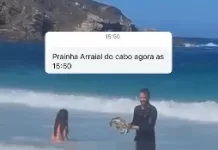 whatsapp image 2026 01 16 at 13.06.44