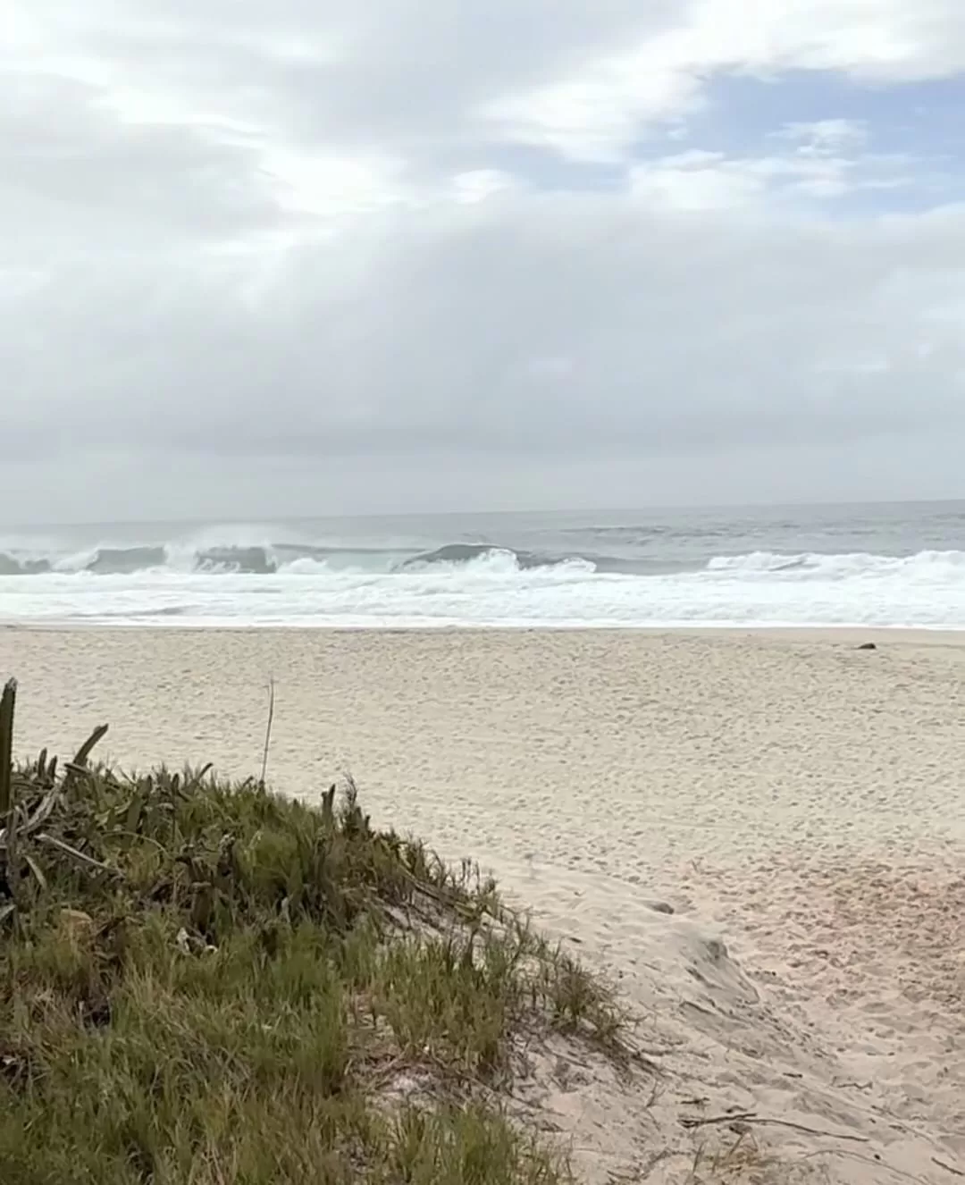 whatsapp image 2026 01 21 at 12.14.00 (1)