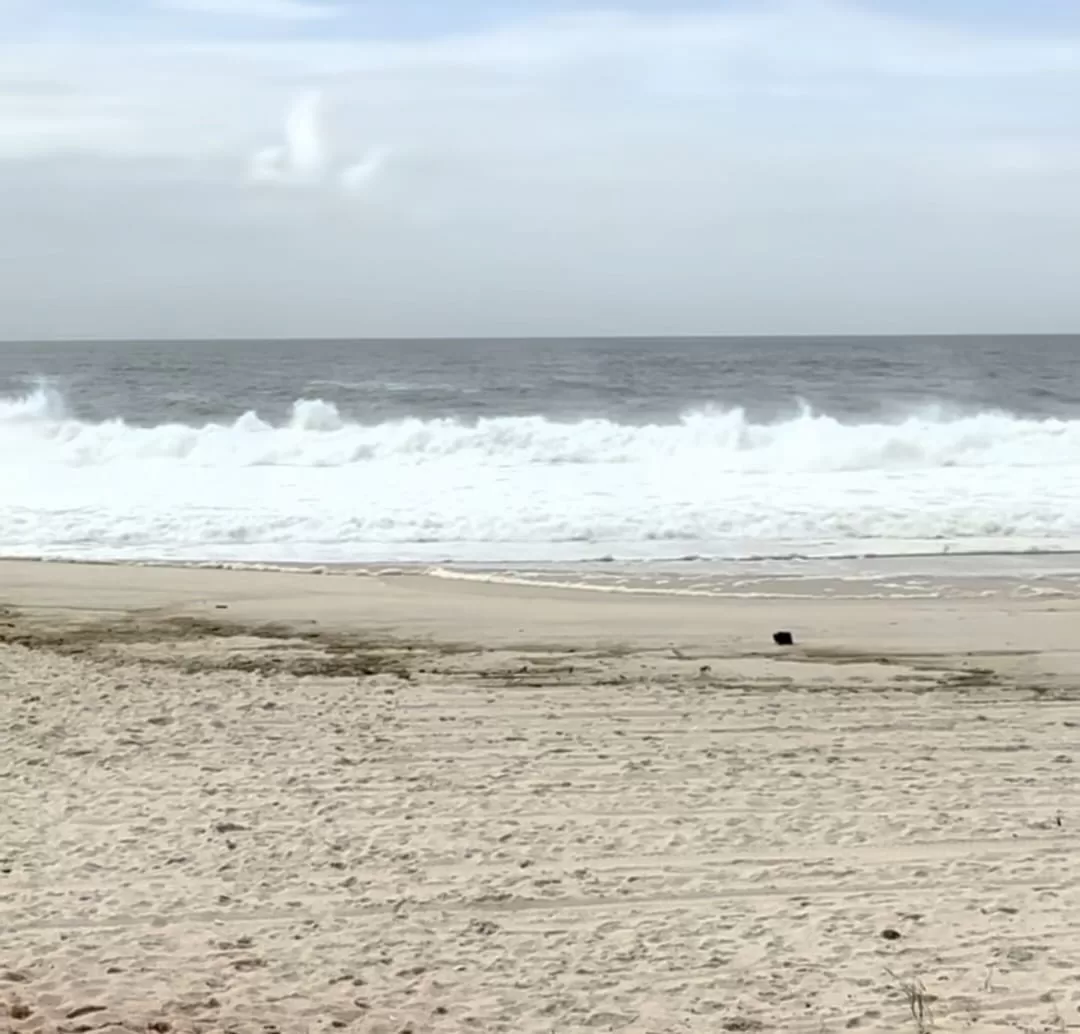 whatsapp image 2026 01 21 at 12.14.00 (2)