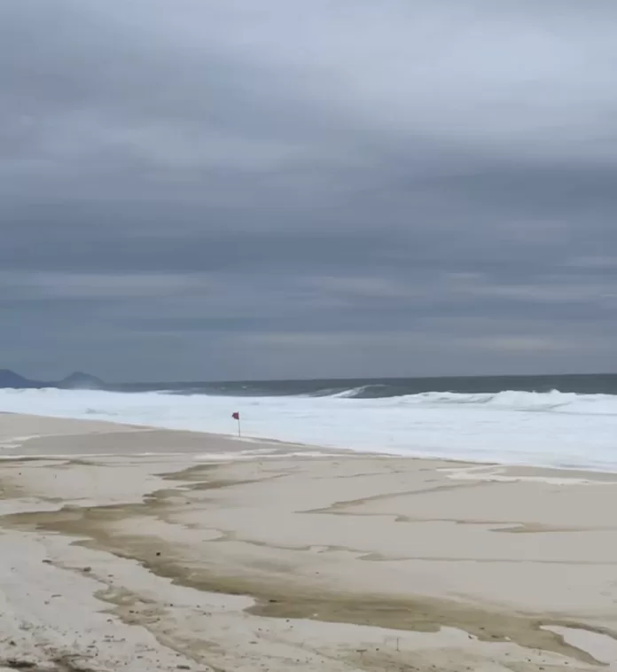 whatsapp image 2026 01 21 at 12.14.00