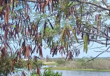 whatsapp image 2026 01 25 at 10.43.20