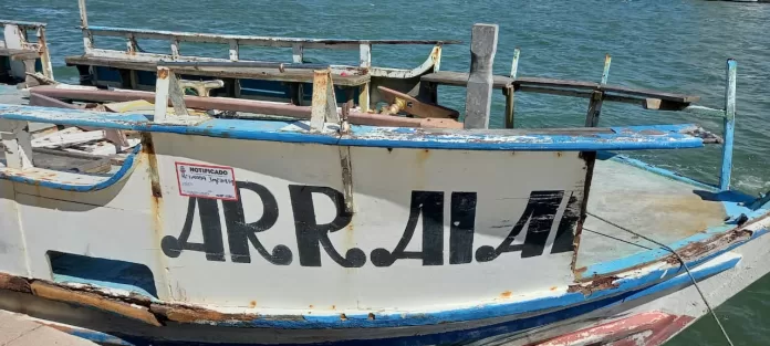 whatsapp image 2026 01 28 at 09.34.21