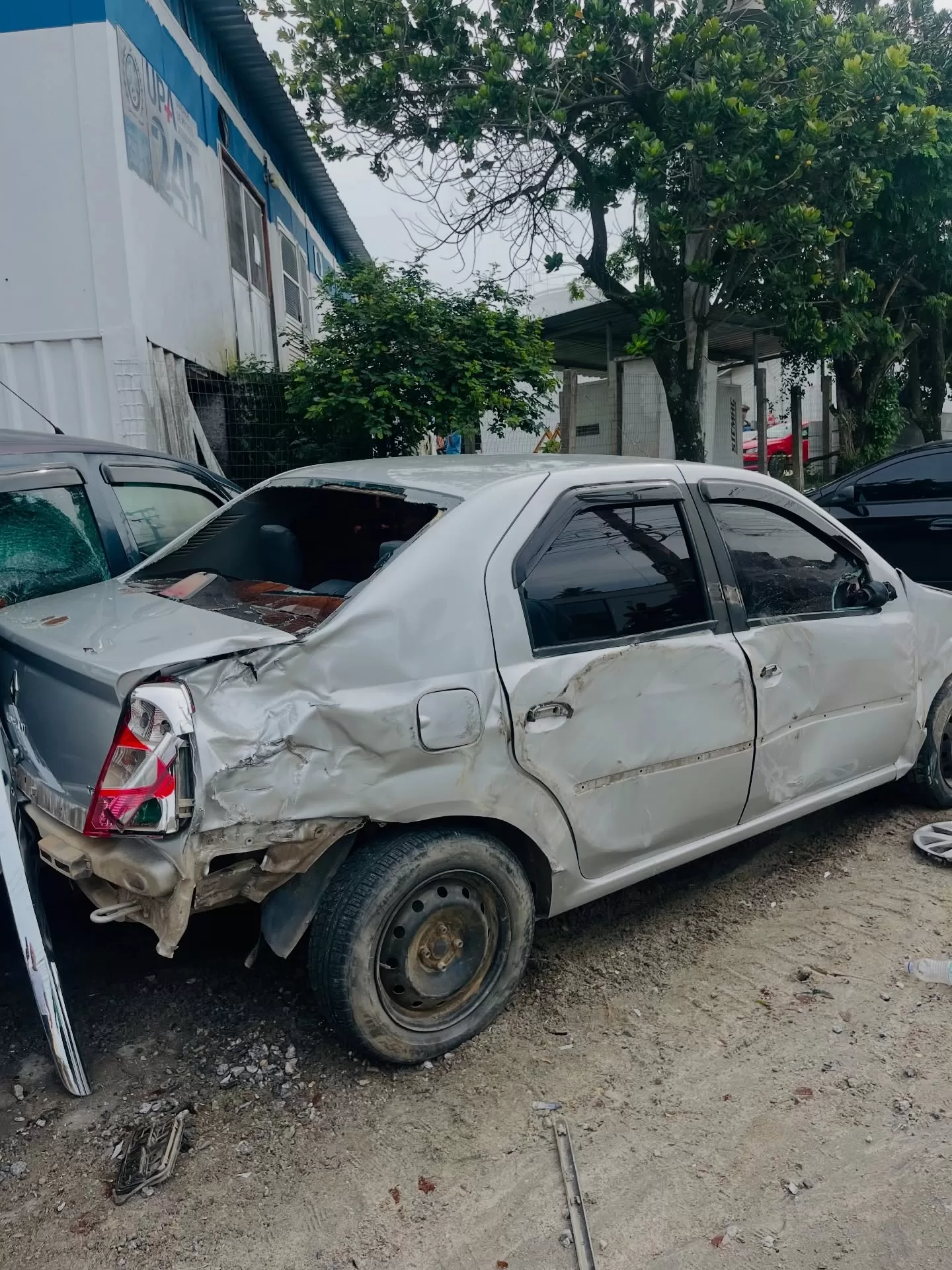 araruamaempauta 1771941285 3839643914471077470 26496830097