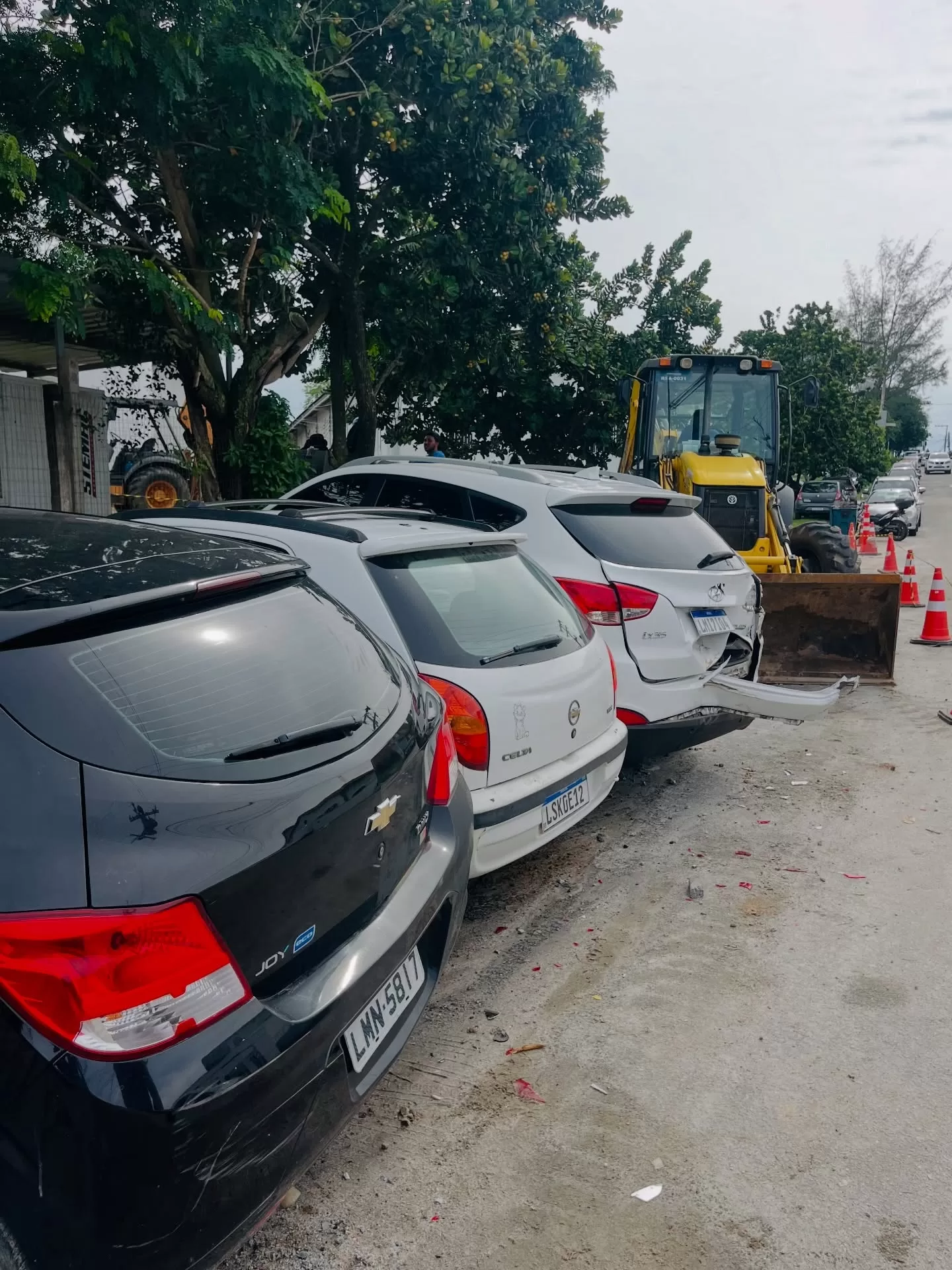 araruamaempauta 1771941285 3839643937925588712 26496830097