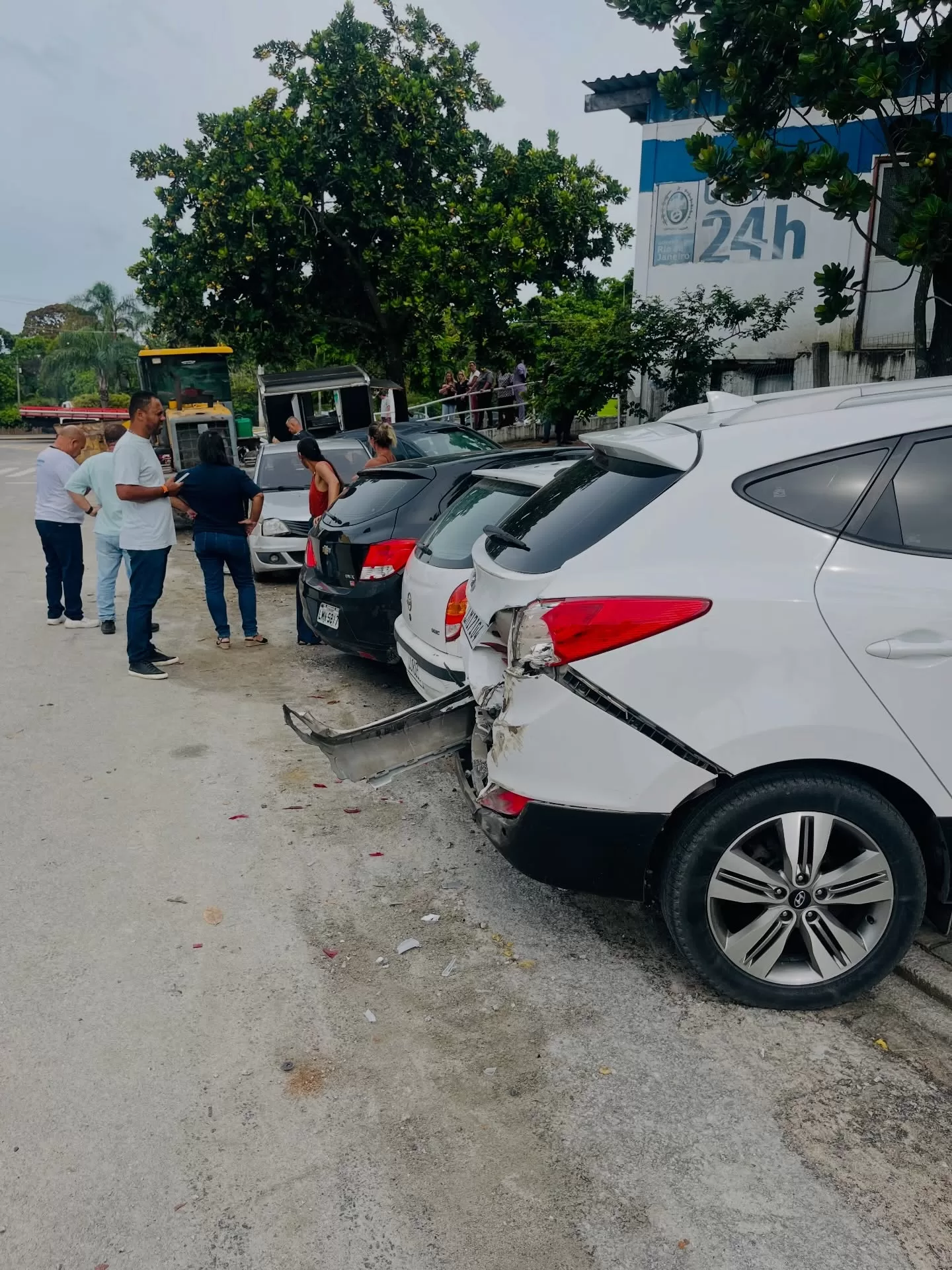 araruamaempauta 1771941285 3839643950785341252 26496830097