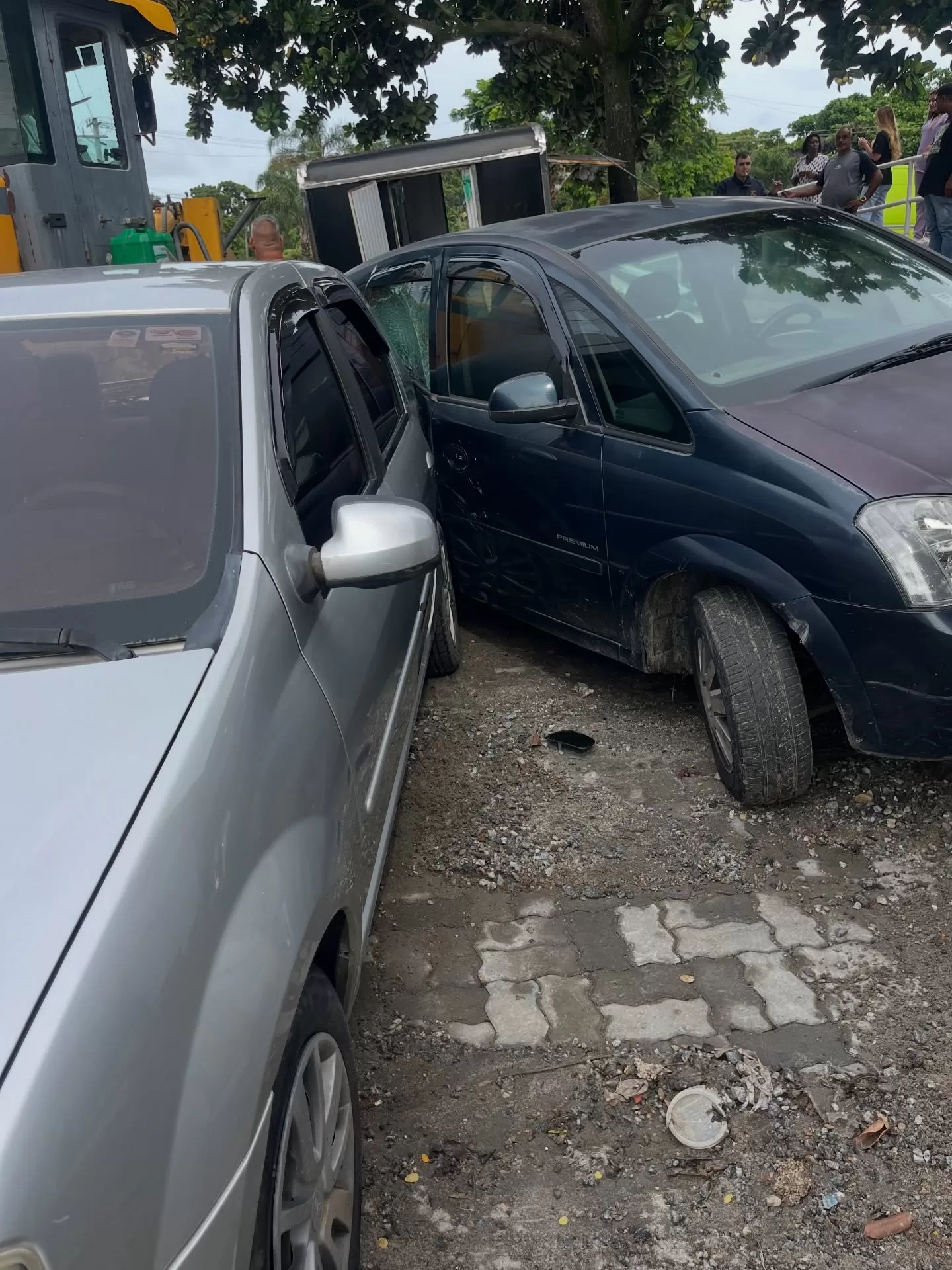 araruamaempauta 1771941285 3839643954551808539 26496830097