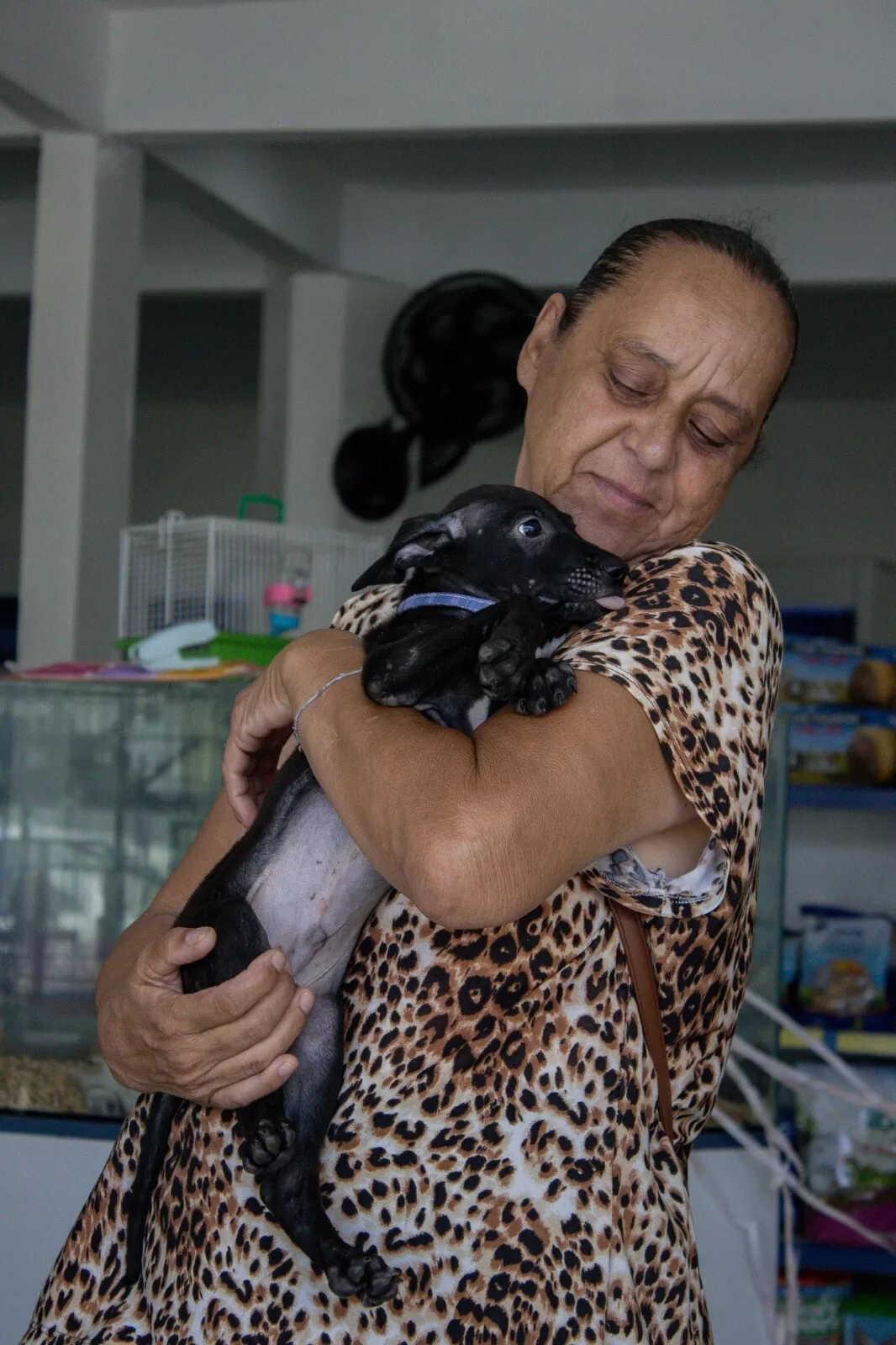 bbde3547 fd0c 431d affc e6d1937399ae