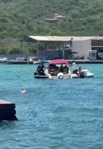 captura de tela 2026 02 15 150348