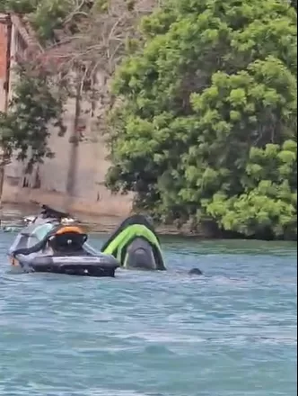 captura de tela 2026 02 17 143647