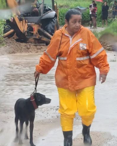 captura de tela 2026 02 28 123727