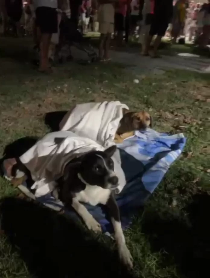 img 20260201 wa0215(1)