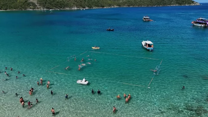 whatsapp image 2026 02 05 at 12.57.14 (1)