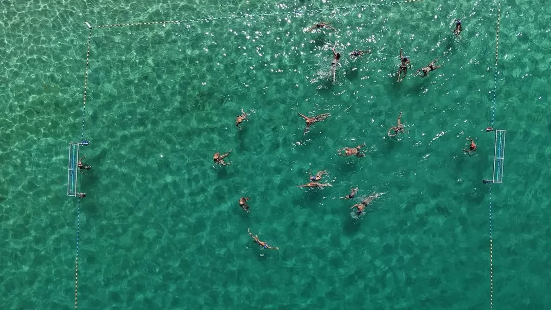 whatsapp image 2026 02 05 at 12.57.14