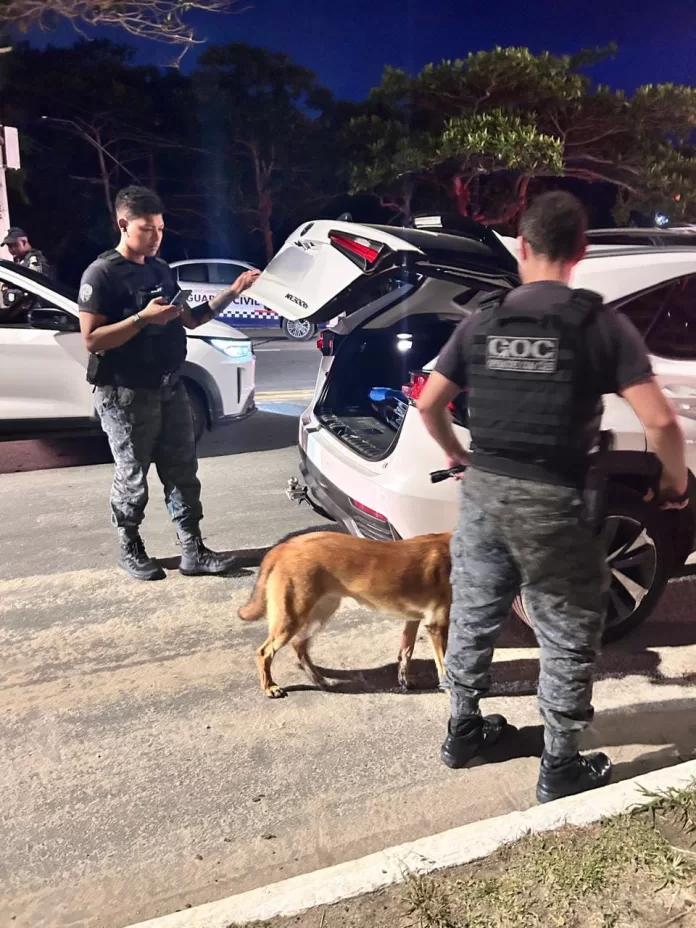 whatsapp image 2026 02 07 at 15.33.38