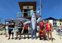 whatsapp image 2026 02 14 at 12.49.07