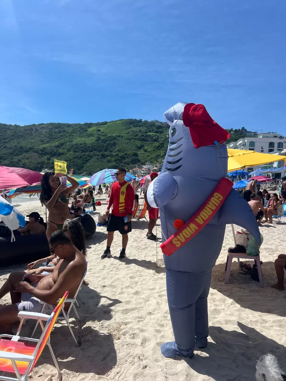 whatsapp image 2026 02 14 at 12.49.10 (1)