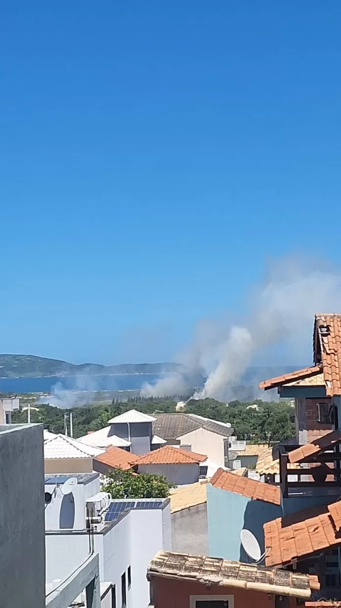 whatsapp image 2026 02 15 at 15.11.59