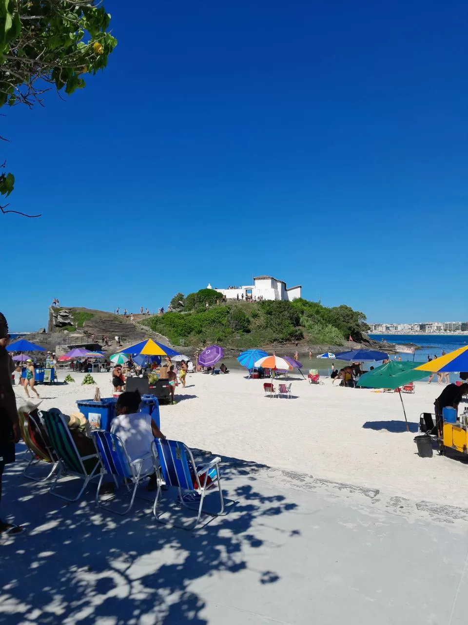 whatsapp image 2026 02 16 at 09.31.29