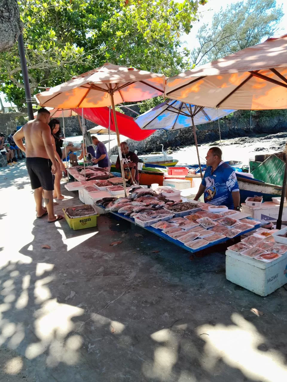 whatsapp image 2026 02 16 at 09.31.51