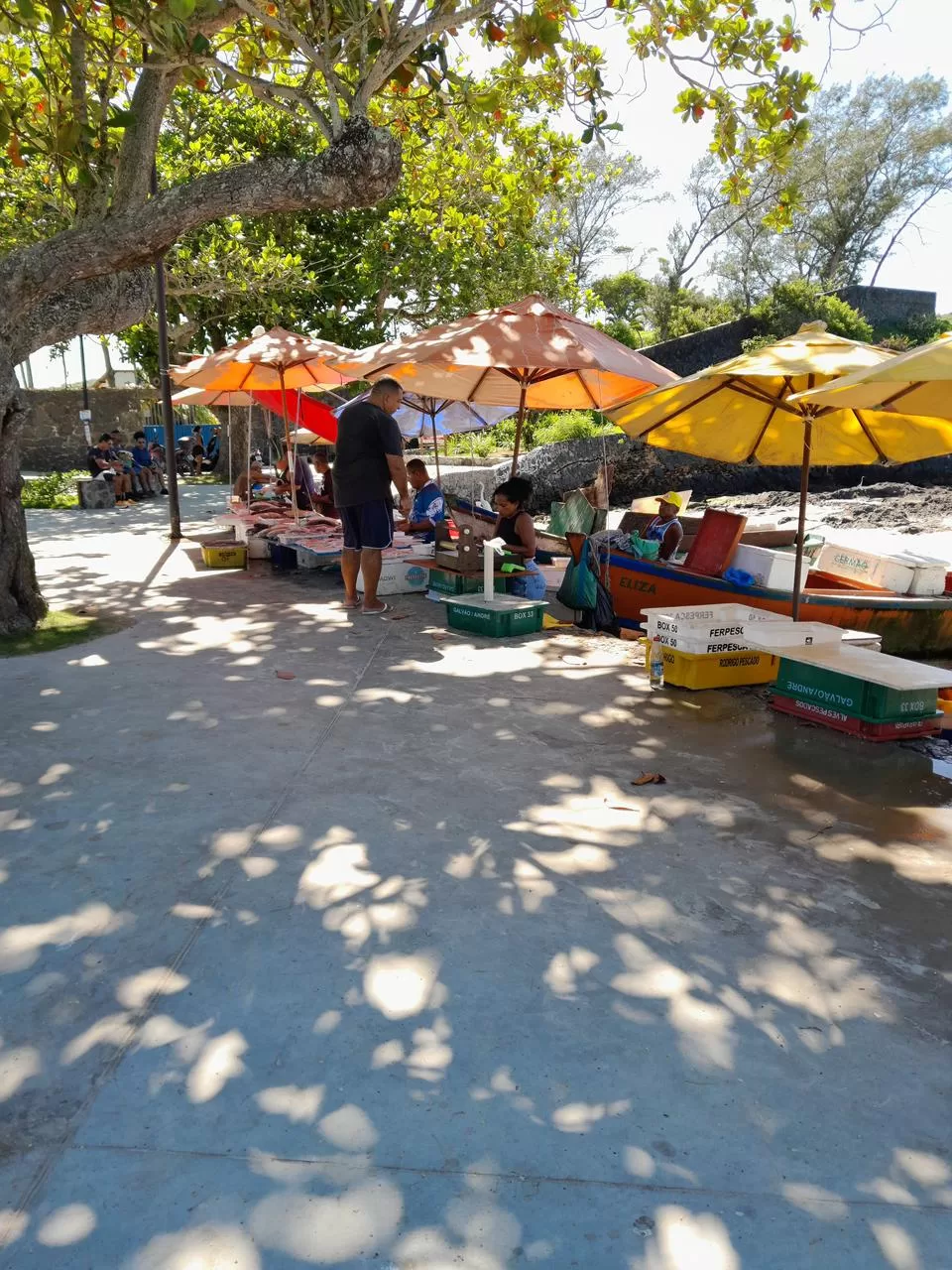 whatsapp image 2026 02 16 at 09.31.52