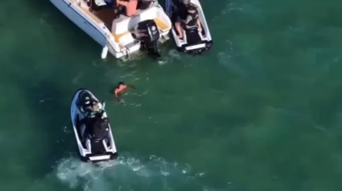 whatsapp image 2026 02 19 at 09.01.56