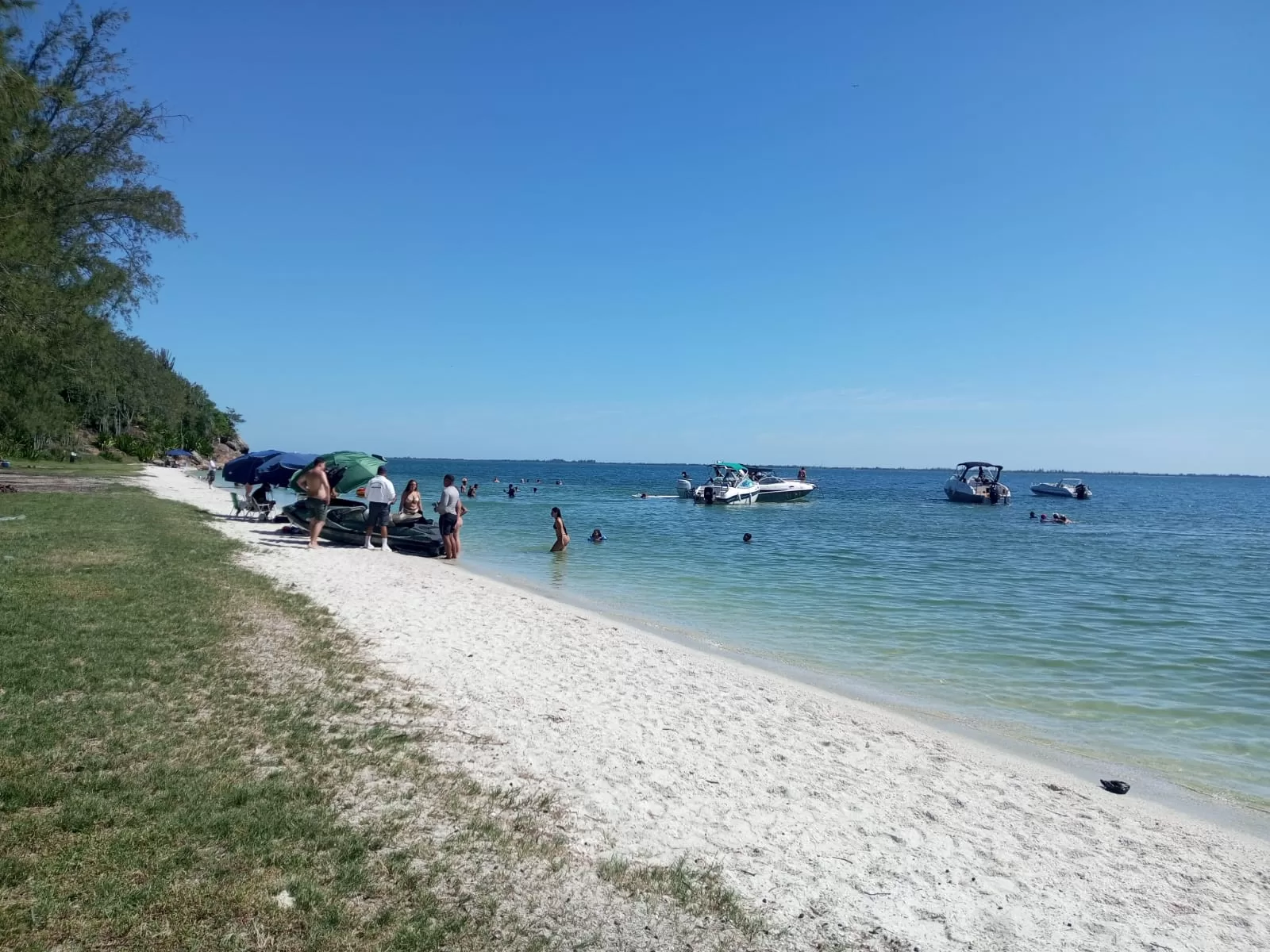 whatsapp image 2026 02 19 at 10.38.50