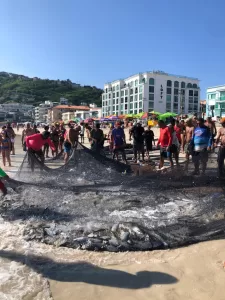 whatsapp image 2026 02 19 at 16.19.48 (1)