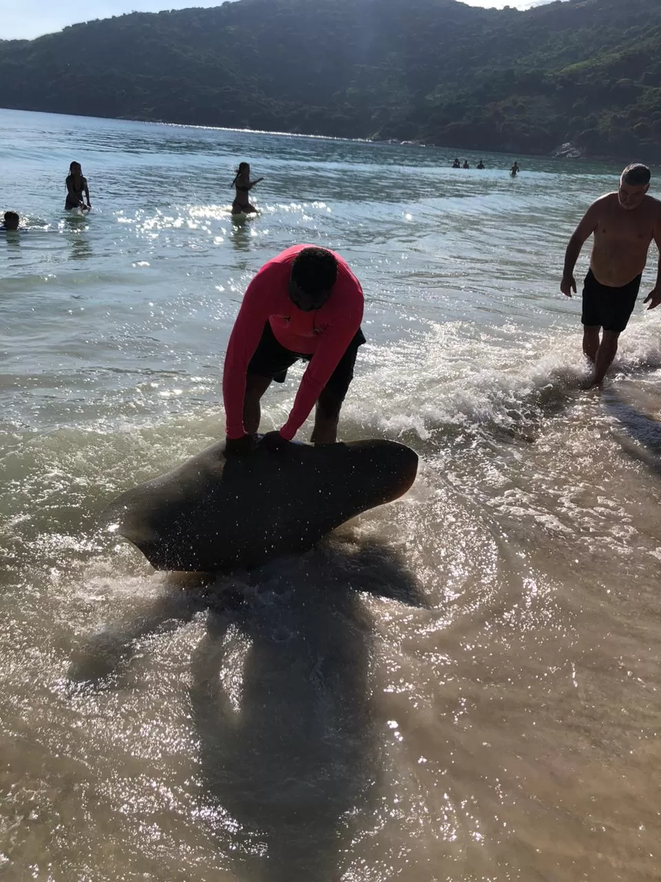 whatsapp image 2026 02 19 at 16.19.48