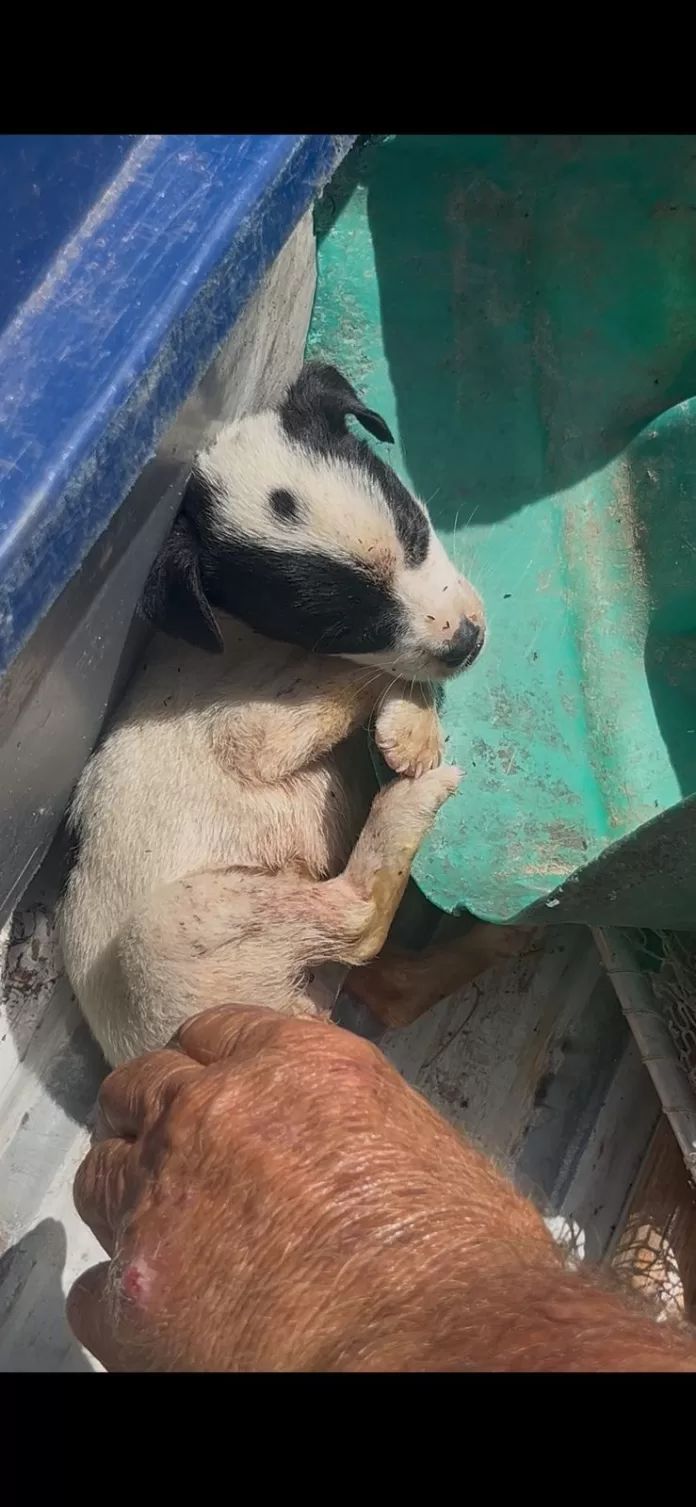 whatsapp image 2026 02 23 at 12.24.11