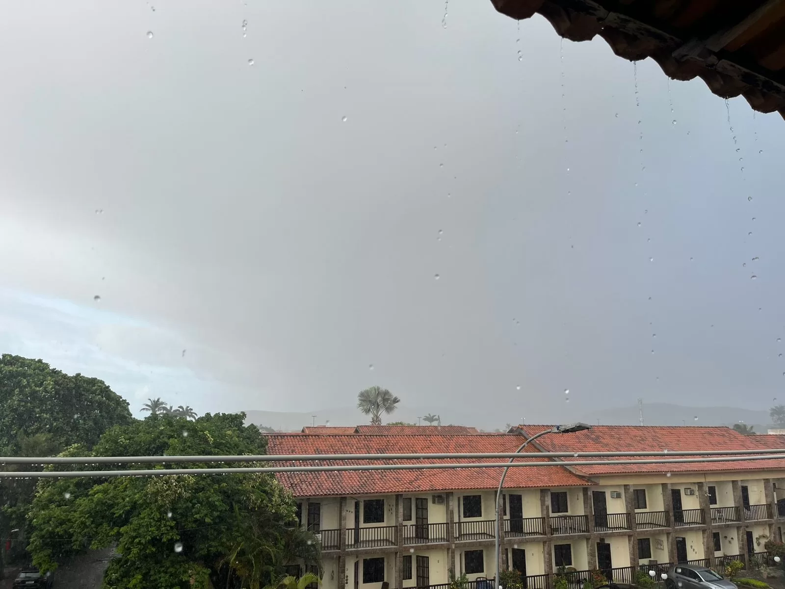 whatsapp image 2026 02 27 at 17.16.56