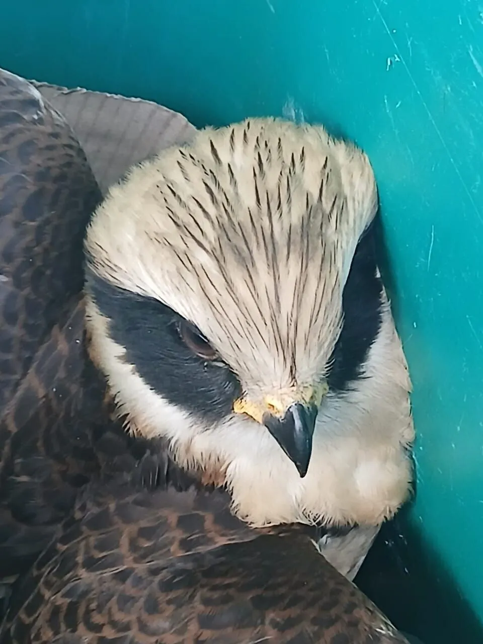 0b2ee74e 02ea 4132 82b4 9bdec1d64c5d