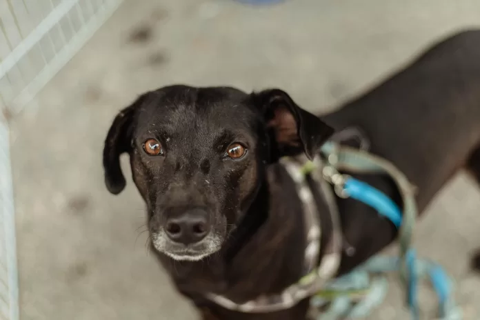 55120835001 7b20f7f5f3 o