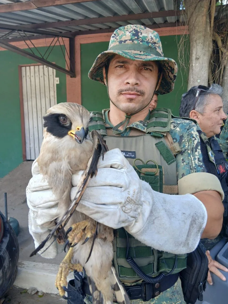 8523fc33 ec6b 4b18 8234 208325c18449