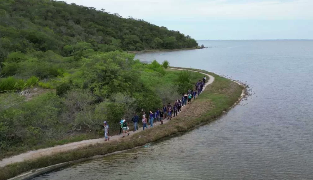 captura de tela 2026 03 13 174055