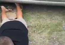 Quadrilha é presa com carro carregado de ovos de Páscoa furtados em loja de Búzios captura de tela 2026 03 22 163609