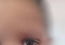 captura de tela 2026 03 28 115645