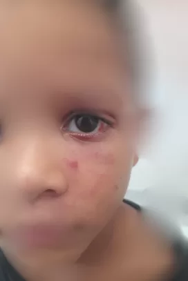 captura de tela 2026 03 28 115645