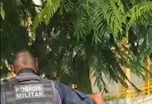 captura de tela 2026 03 28 151307