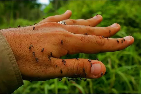 img 20260311 wa0214(1)