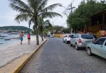 Orla Bardot será interditada para poda de árvores em Búzios orla de buzios