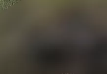 Corpo de homem é encontrado com sinais de queimadura em praia de Saquarema screenshot 3