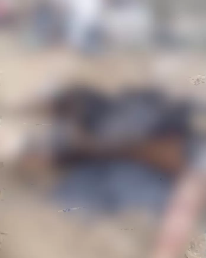 seligaararuamaoficial 1773925528 3856289288640826336 5612328056