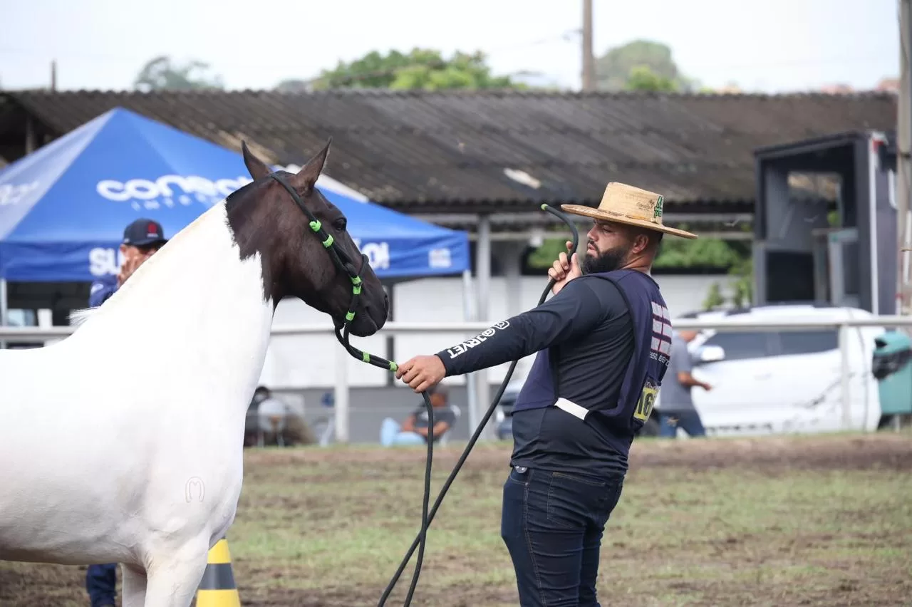 whatsapp image 2026 03 01 at 16.37.28 (2)