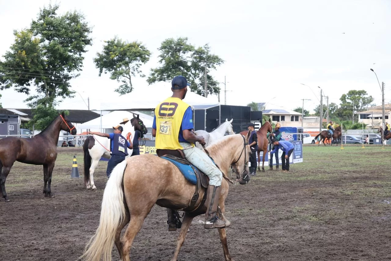 whatsapp image 2026 03 01 at 16.37.29 (2)