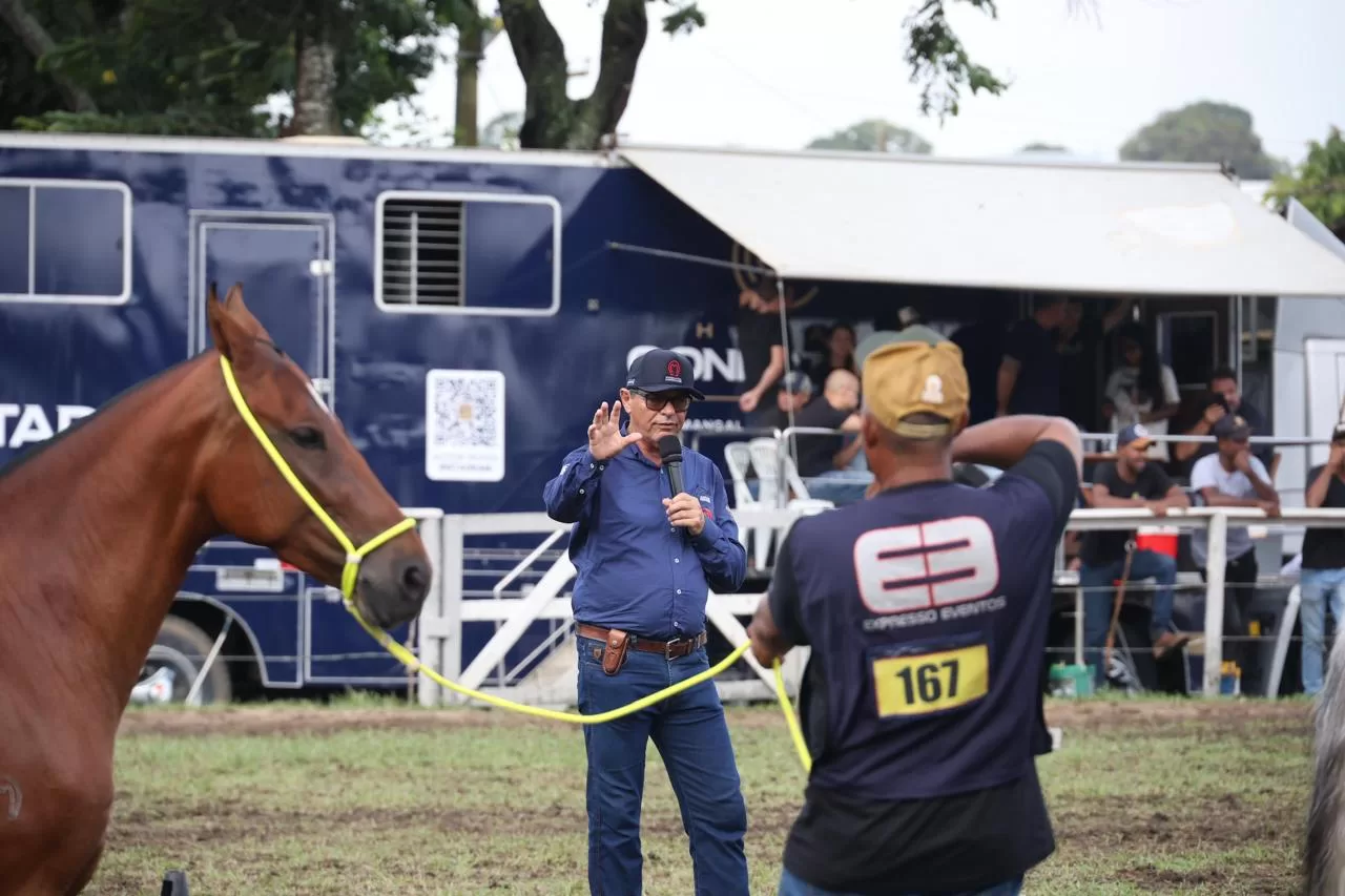 whatsapp image 2026 03 01 at 16.37.29 (4)