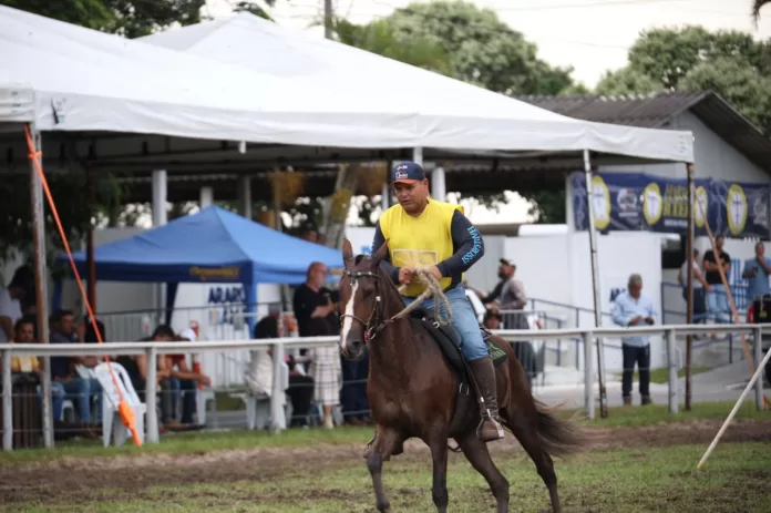 whatsapp image 2026 03 01 at 16.37.29