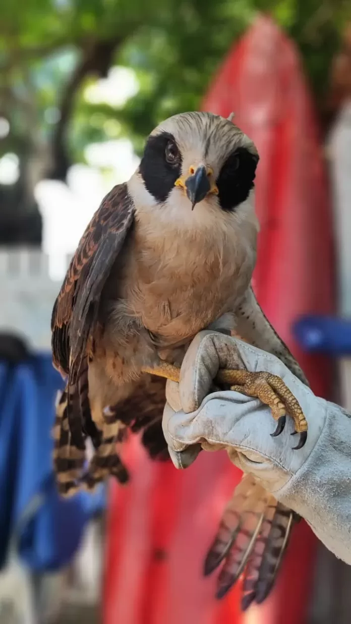 whatsapp image 2026 03 03 at 18.25.25 1