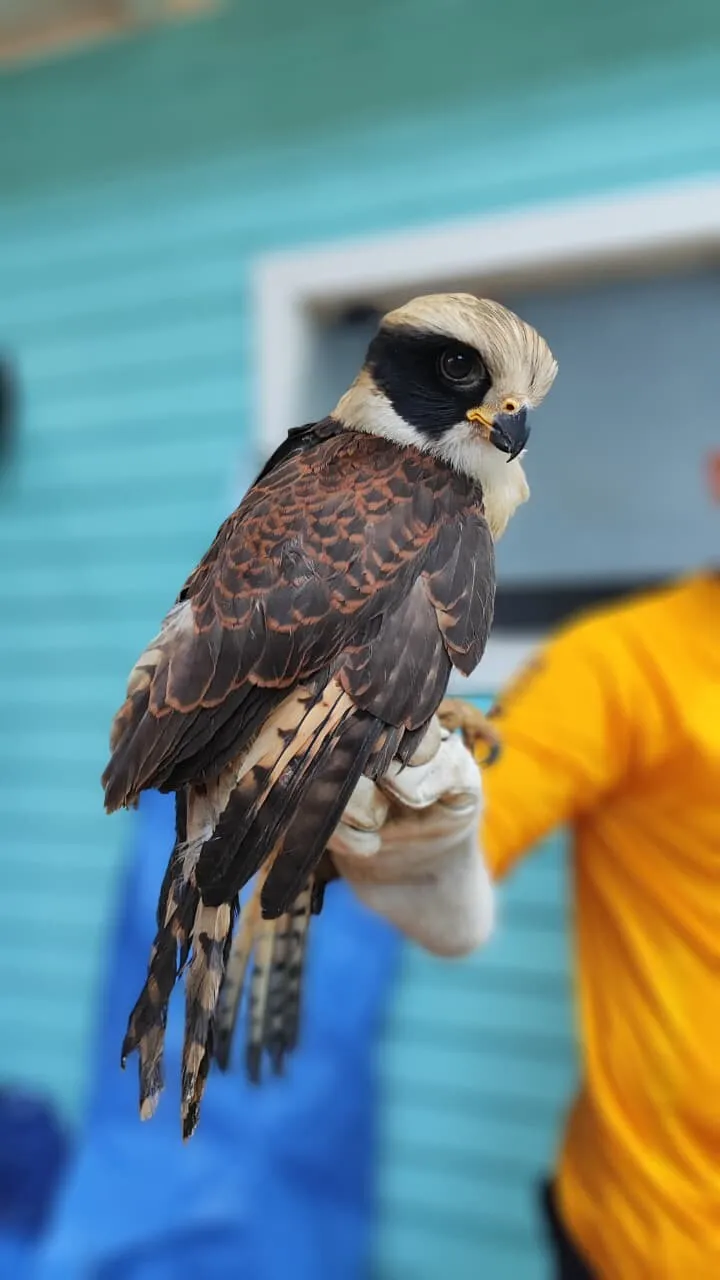 whatsapp image 2026 03 03 at 18.25.25