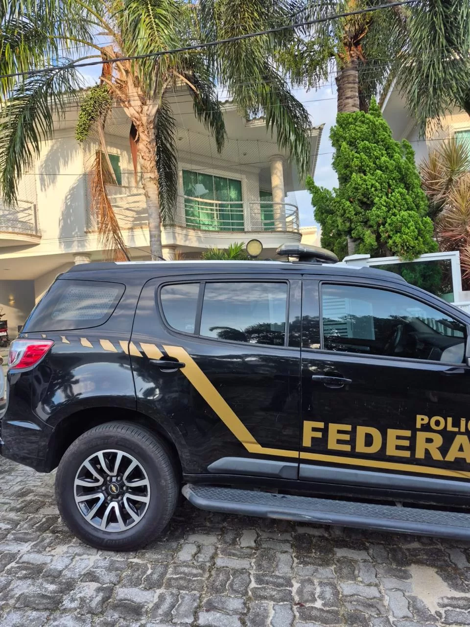 whatsapp image 2026 03 04 at 07.29.39