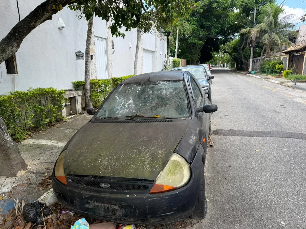 whatsapp image 2026 03 04 at 08.31.16 (1)